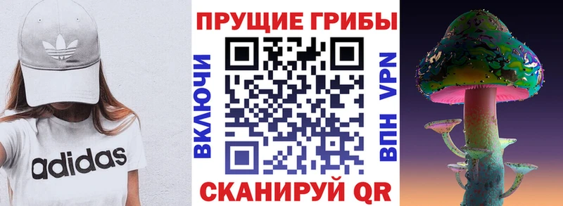 Псилоцибиновые грибы прущие грибы  что такое   Полярный 